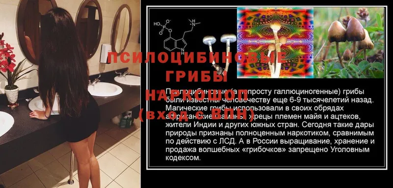 Галлюциногенные грибы Magic Shrooms  где купить наркоту  Полярные Зори 